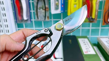 [ TẬP 575 ] KÉO CẮT CÀNH THÉP GIẤY XANH GHÉP LÕI ĐỒNG TOBISHO 200MM NỘI ĐỊA NHẬT BẢN