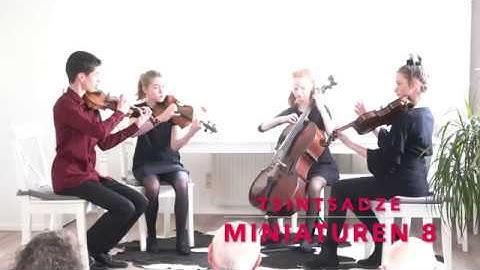 Tsintsadze Miniaturen 8, 9