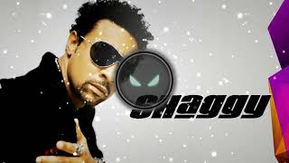 Shaggy ft. Sean Paul ft. Brian & Tony Gold - Hey Sexy Lady (Jumanji Project Remix) Resimi