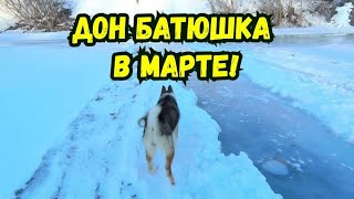 р.ДОН в марте!Прогулка с собакой к РЕКЕ!