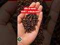 long ke fayde in hindi | लौंग के फायदे इन हिंदी long ke fayde bataiye ,clove benefits in hindi