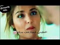 حياة ومراد لما همسة تقول بحبك حالة واتساب 