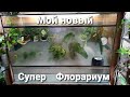 Мой новый супер Флорариум