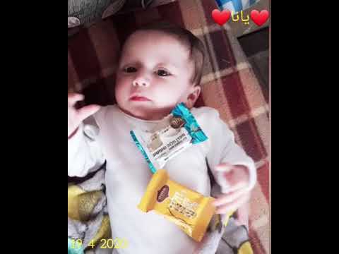 يا بوي حلاوة يانا عمر ابوسنان دير الاسد ترشيحا ازار الورد   19 4 2020