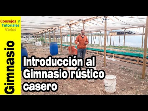 Ventajas y desventajas del gimnasio casero más económico y portátil: el