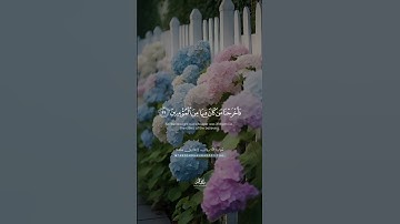 وَتَرَكنَا فِيهَا آيَة || طارق محمد || من سورة الذاريات