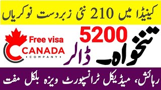 Software Engineer jobs in Canada 2023 | How to get Free work visa Canada | Salary screenshot 2