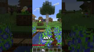 Blueberries in Minecraft?? Day 18! #minecraft #shorts