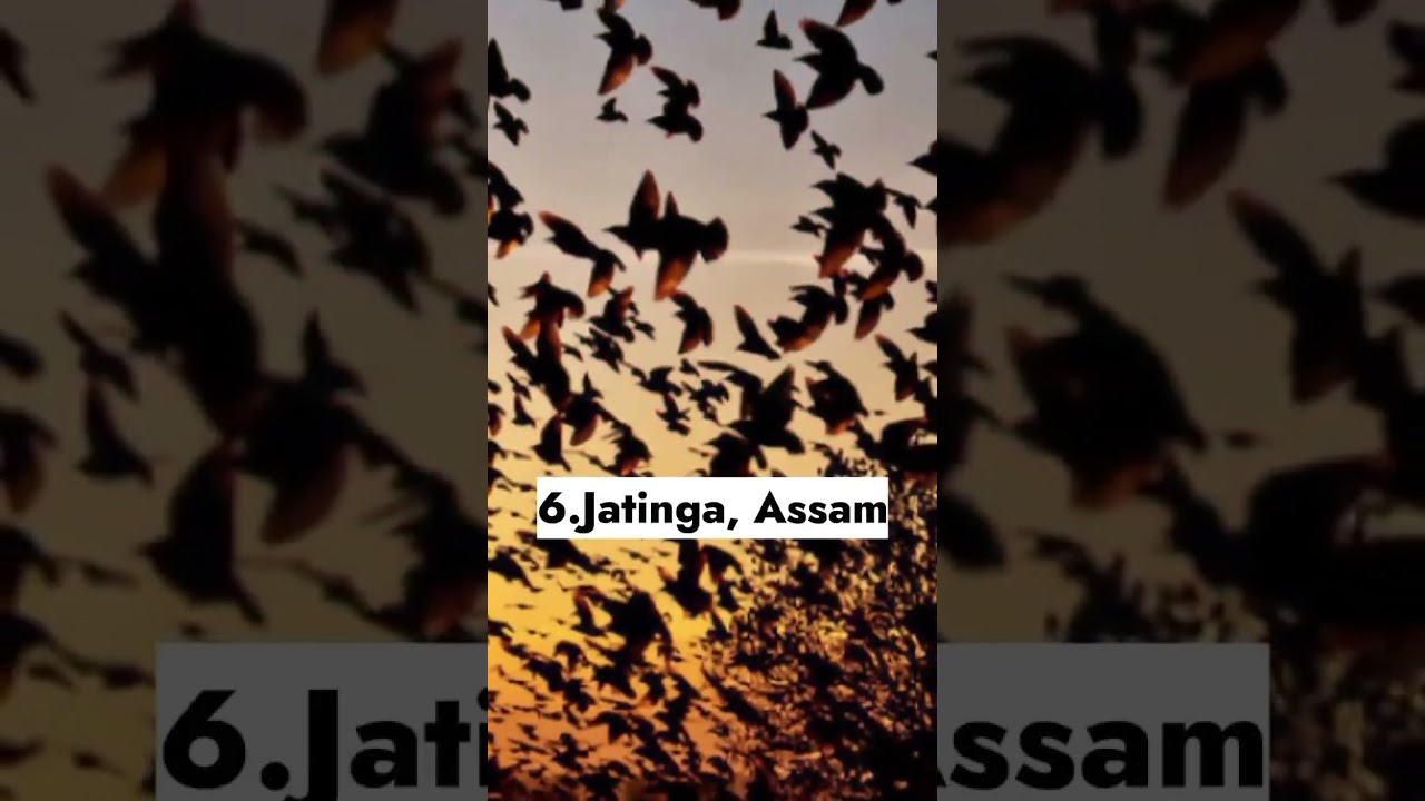 Top 10 most haunted places in India 