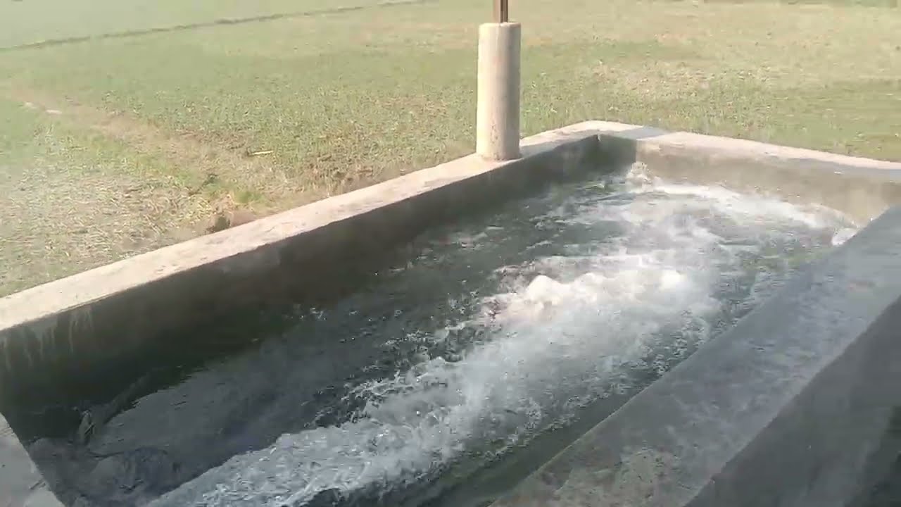 🌾Farming life 🌾🌻🌍