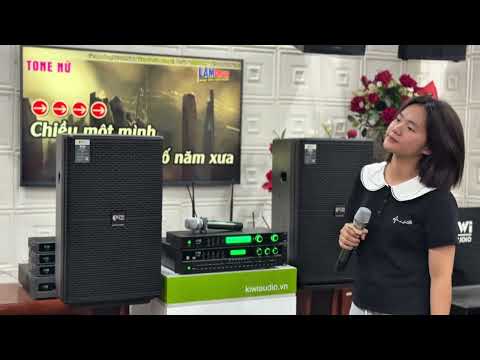 Loa full Karaoke gia đình bass 30 Kiwi HD30