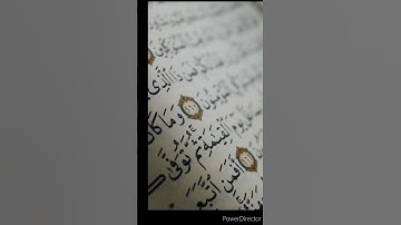 #quran #قرآن #قران_كريم #قرآن_كريم #حالات_واتس_قرآن#حالات_قرآن #تلاوات #تلاوة_خاشعة #عبدالرحمن_مسعد