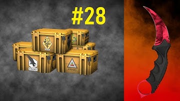 Opening 1 Case Everyday Until I Get a Knife #28