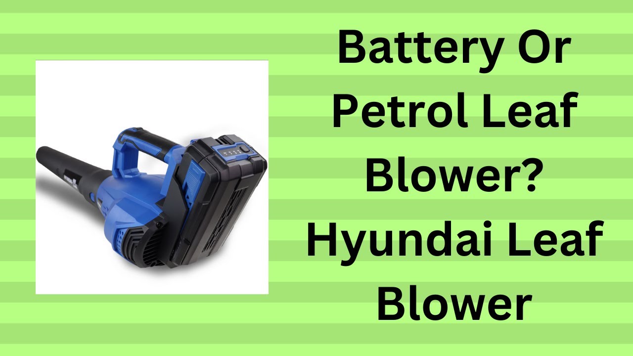 Battery Or Petrol Leaf Blower Hyundai Leaf Blower YouTube