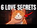 How to Say 'I Love You' in Cat (6 Acts/Neuroscience Explains)