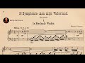 Capture de la vidéo Bernard Zweers - Symphony No. 3 "To My Fatherland" (1886-C.1890)
