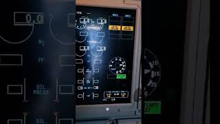 Boeing 737 MAX FLAP DOWN INDICATION