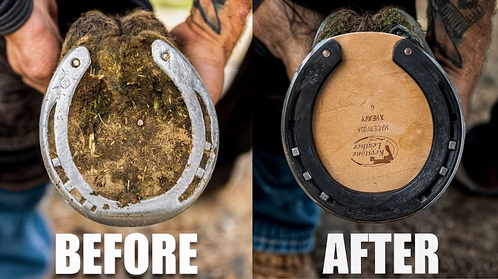 Satisfying Full Horse Hoof Restoration | 4K FARRIER ASMR