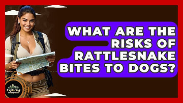 What Are The Risks Of Rattlesnake Bites To Dogs? - Exploring Campgrounds
