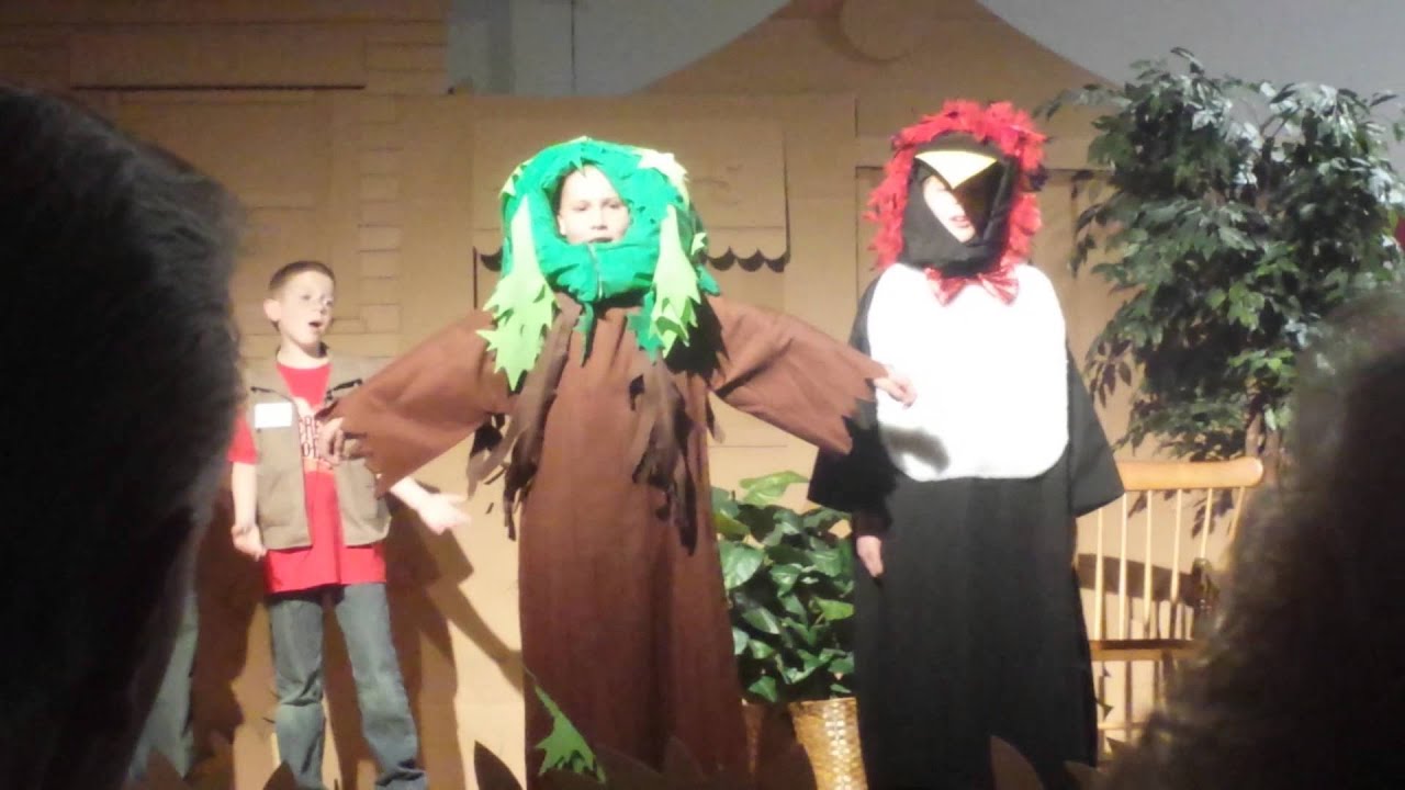 The Woodpecker Song YouTube