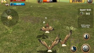 Wild Eagle Sim 3D Android Gameplay screenshot 5