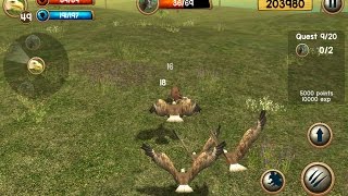 Wild Eagle Sim 3D Android Gameplay screenshot 3