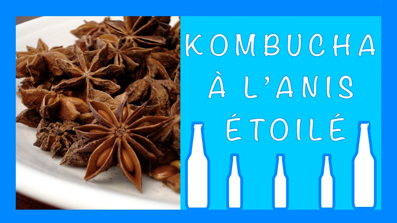 Kombucha à l'Anis Étoilé (Badiane) / Boisson Pétillante, Rafraîchissante et  Santé 