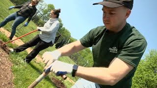 Volunteers at Old Forester plant 800 white oak seedlings that could become bourbon barrels