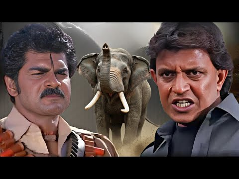 ابوه بيتقـ ـتل وبمساعده الفيل بتاعه بيقدر ينتقم من كل المجرمين ملخص فيلم أنا وفيلي ميثون شاكربورتي