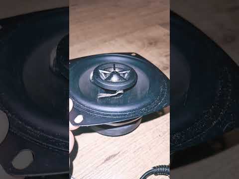 bass test
