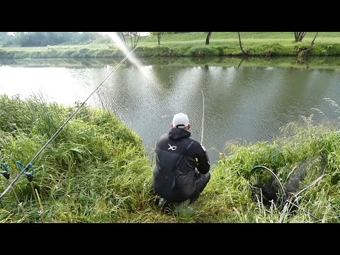 fishing with pasta and feeder bait on the river for carp, crucian carp, and bream