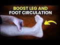 10 Ways To IMMEDIATELY BOOST Leg and Foot CIRCULATION!