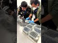 महिला के सूटकेस से मिले 32 इगुआना [32 Galápagos Marine Iguanas Found in Luggage at Ecuador Airport]