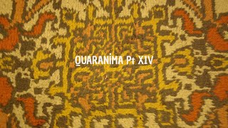 Quaranima Pt XIV