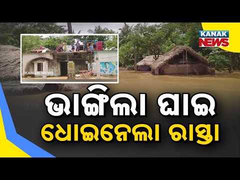 ଘାଇ ଭାଙ୍ଗି ରାସ୍ତା ଧୋଇଗଲା! Jajpur Flood Damage | 50-Foot Road Washed Away In Dasarathpur