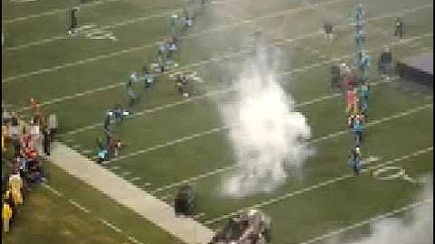 Panthers vs Cardinals Playoff Game~ January 10, 2009