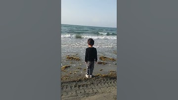 تلاوة خاشعه بصوت القارئ محمد الفقيه #اليمن #تعز السعوديه #جازان #