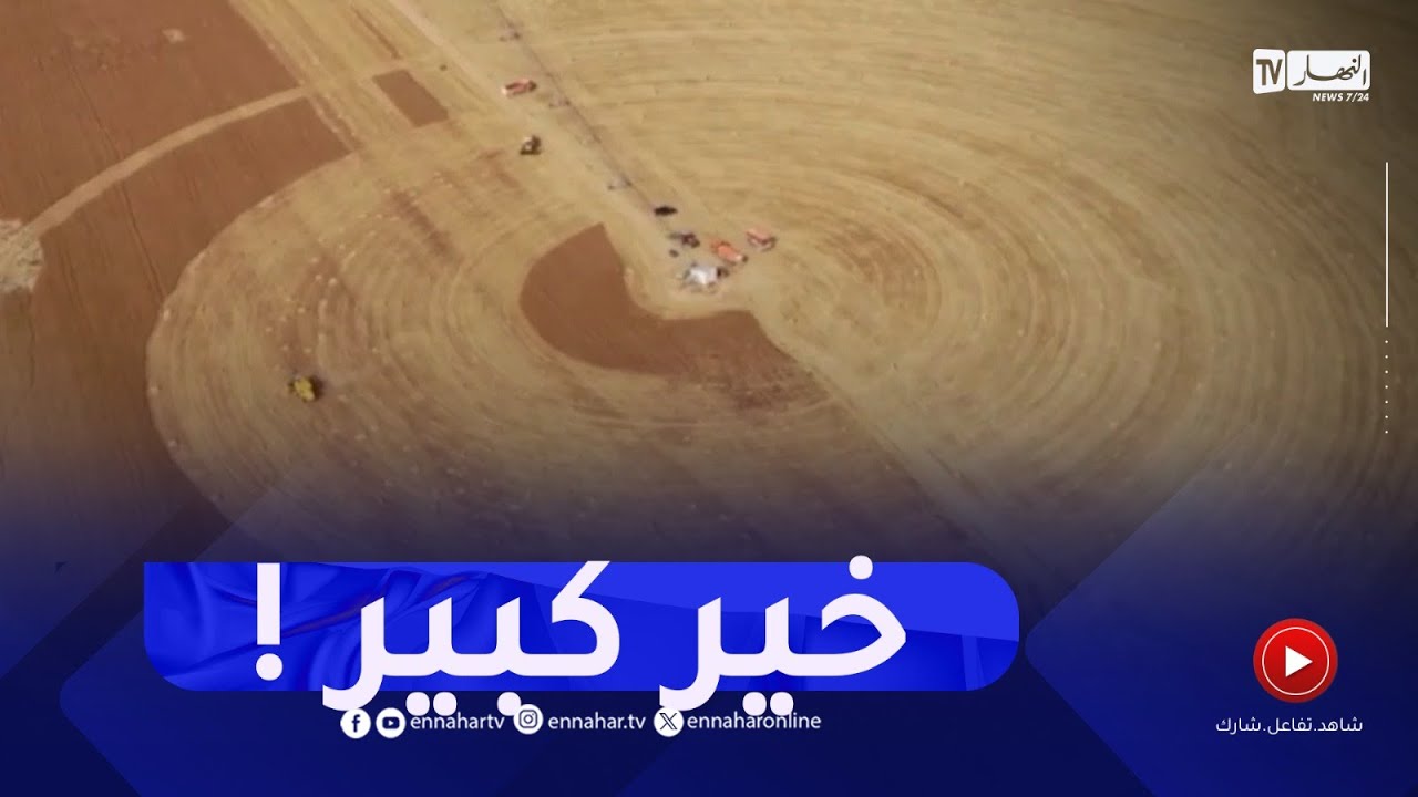 خنشلة : 100 شاحنة  لنقل الحبوب بصحراء النمامشة