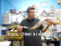 Melvin Mejia Shofar de 43 de Newburgh NY