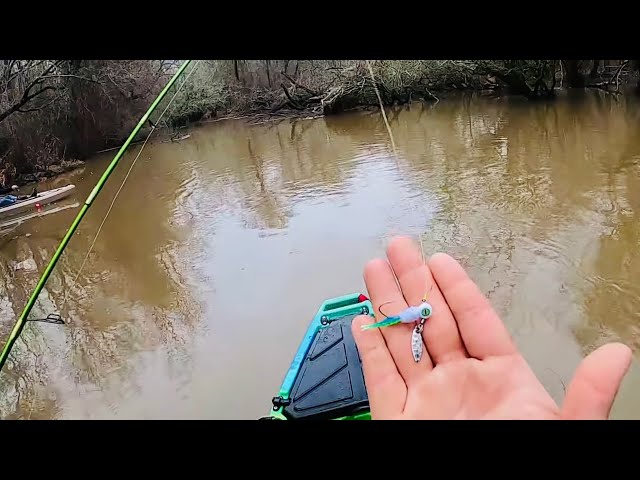 This NEW WHITE BASS LURE Will Catch YOU LIMITS‼️ WHITE BASS RUN