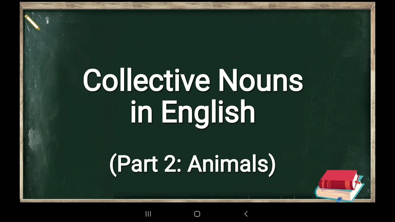 Collective Nouns, Part 2 Animals YouTube