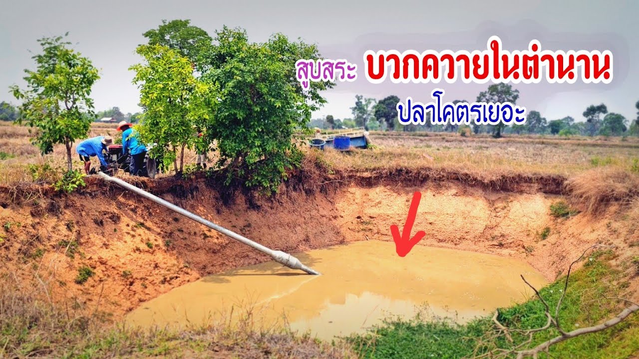 ใครจะไปเชื่อว่าสูบสระบวกควายทั้งตื้นทั้งเหม็นปลาจะเยอะขนาดนี้ ??