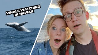 Whale Watching Tour on Maui, Hawaii 🐳