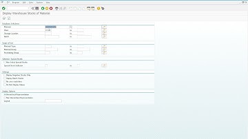 IWM 4 Step 10 Display warehouse inventory value