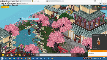 Taking a look in sandbox.habbo.com