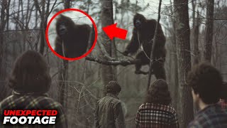Unbelievable Trail Cam Moments Caught on Camera