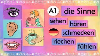Deutschkurs A1: Die Sinne – fühlen, hören, sehen, schmecken, riechen- Verben der Sinneswahrnehmung screenshot 5