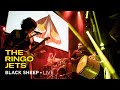 The ringo jets  black sheep live at salon iksv