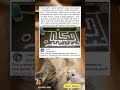 This is Catttt!laugh out loud.#funny#funnymemesvide0s #fyp #memes