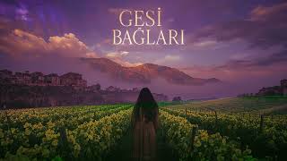 Gesi Bağları - Anadolu’nun Rüyası Psychedelic Anatolian Rock